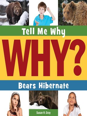 cover image of Bears Hibernate